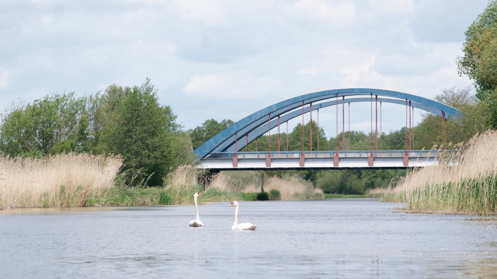 hattyk felvezetsben az a24 hdnl