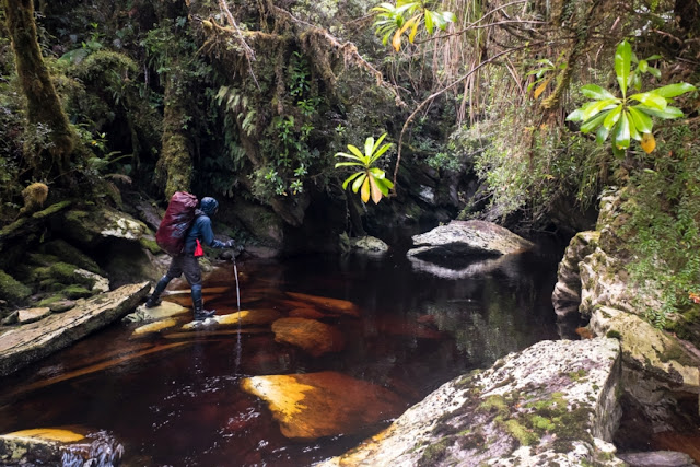 kanyontura felfele tasmania vadul hegyes esoerdejeben 04