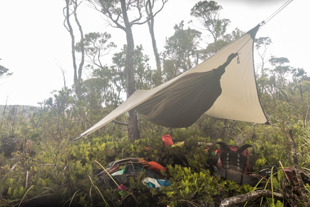 kanyontura felfele tasmania vadul hegyes esoerdejeben 08